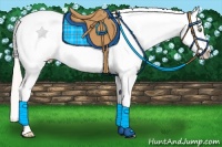Horse Color:Silver Amber Champagne Dun Splash Frame Blanket