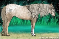 Horse Color:Liver Chestnut Ice Pearl 