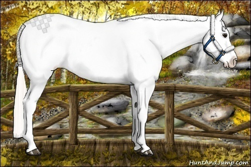Horse Color:Silver Brown Roan Dun Tobiano Appaloosa Rabicano
