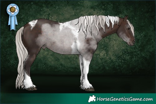 Horse Color:Silver Brown Tobiano