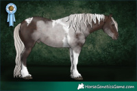 Horse Color:Silver Brown Tobiano 