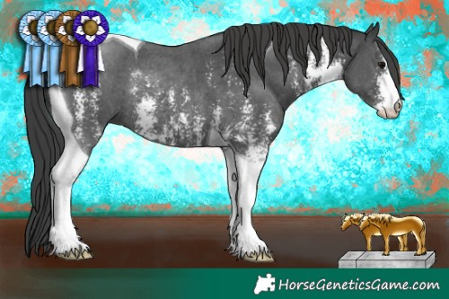 Horse Color:Black Sabino Tobiano Rabicano