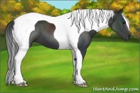 Horse Color:Black Tobiano 