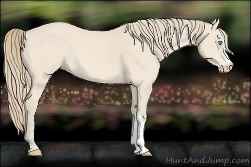 Horse Color:Perlino 