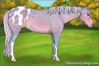 Horse Color:Watercolor Silver Brown Dun Appaloosa
