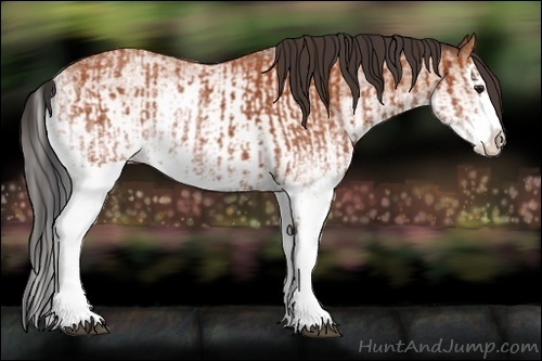 Horse Color:White Spotted Bay Splash  and White Spotted Bay Splash 