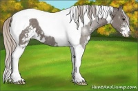 Horse Color:Silver Black Sabino Tobiano