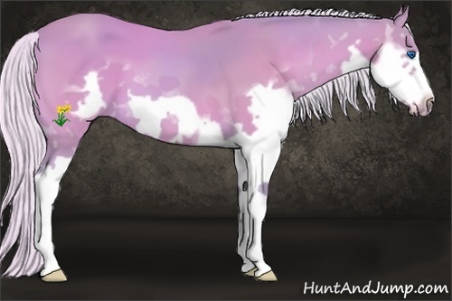 Horse Color:Watercolor Silver Bay Splash Frame