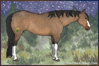 Horse Color:Brown Dun 