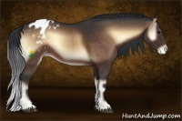 Horse Color:Bay Onyx Appaloosa Rabicano 