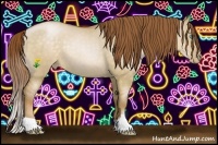 Horse Color:Buckskin Pearl Dun