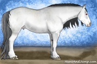 Horse Color:Classic Cream Champagne Chinchilla Onyx Splash 