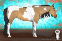 Horse Color:Bay Dun Tobiano 