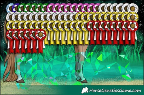 Horse Color:Black Pearl Sabino Rabicano 