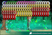 Horse Color:Black Pearl Sabino Rabicano 