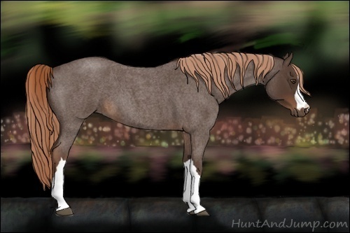 Horse Color:Liver Red Roan 
