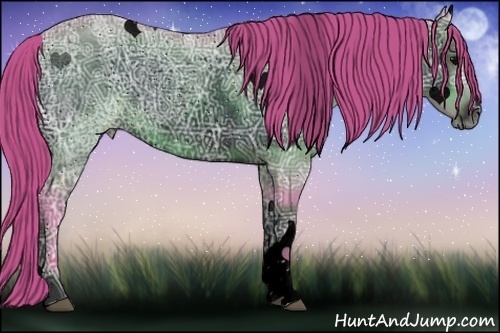 Horse Color:ERROR: UNKNOWN ANOMALY