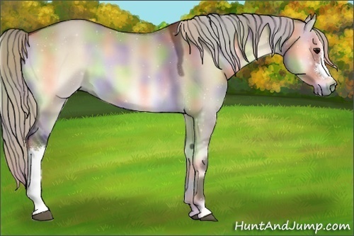 Horse Color:Nacre Silver Brown Onyx
