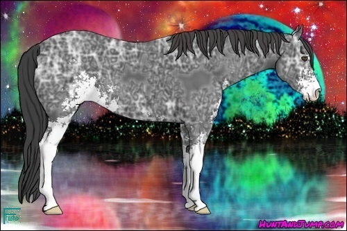 Horse Color:Smoky Black Ice Sabino