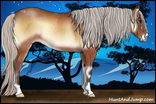 Horse Color:Silver Bay Onyx 