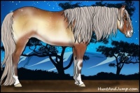 Horse Color:Silver Bay Onyx 