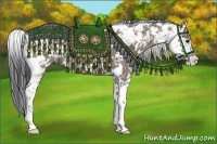 Horse Color:Grullo Sabino 