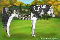 Horse Color:White Spotted Smoky Black Splash 