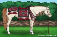 Horse Color:Smoky Grullo Pearl