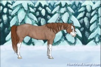 Horse Color:Red Roan Splash 