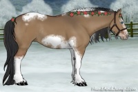 Horse Color:White Spotted Bay Dun Tobiano Frame Rabicano