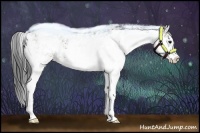 Horse Color:Grullo Sabino