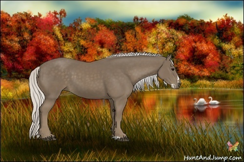 Horse Color:Silver Smoky Black Splash