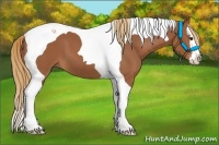 Horse Color:Chestnut Splash Tobiano 