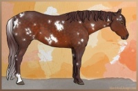 Horse Color:White Spotted Chocolate Brown 