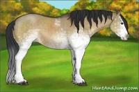 Horse Color:White Spotted Brown Dun 