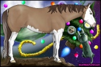 Horse Color:Classic Champagne Sabino Splash 