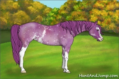 Horse Color:Watercolor White Spotted Chestnut Sabino 