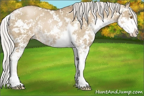 Horse Color:Silver Grullo Pearl Sabino Rabicano