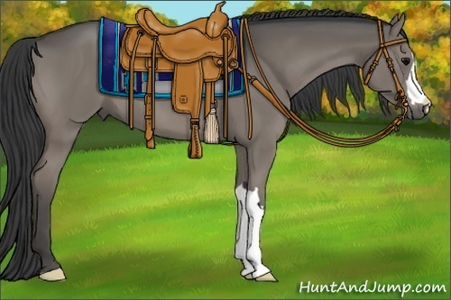 Horse Color:Grullo 