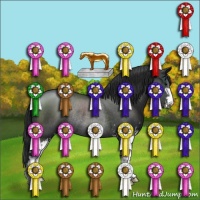 Horse Color:Black Sabino Rabicano
