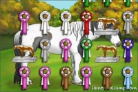 Horse Color:Black Sabino Tobiano Rabicano 