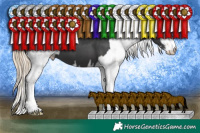 Horse Color:Black Sabino  and Chestnut Sabino 