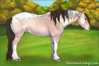 Horse Color:Sable Champagne Ice Onyx Tobiano Appaloosa