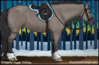 Horse Color:Grullo 