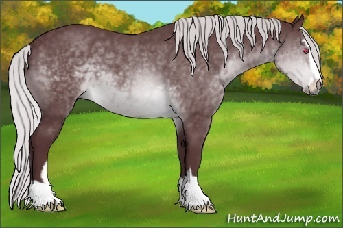 Horse Color:Chocolate Silver Brown Chinchilla Sabino