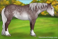 Horse Color:Chocolate Silver Brown Chinchilla Sabino 