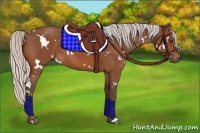 Horse Color:White Spotted Silver Bay