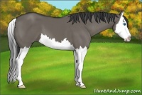 Horse Color:Smoky Grullo Splash