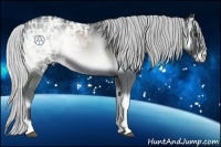 Horse Color:Silver Blue Onyx Chinchilla Ice 