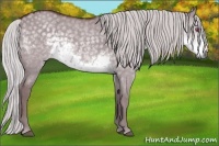 Horse Color:Chocolate Silver Smoky Grullo Chinchilla